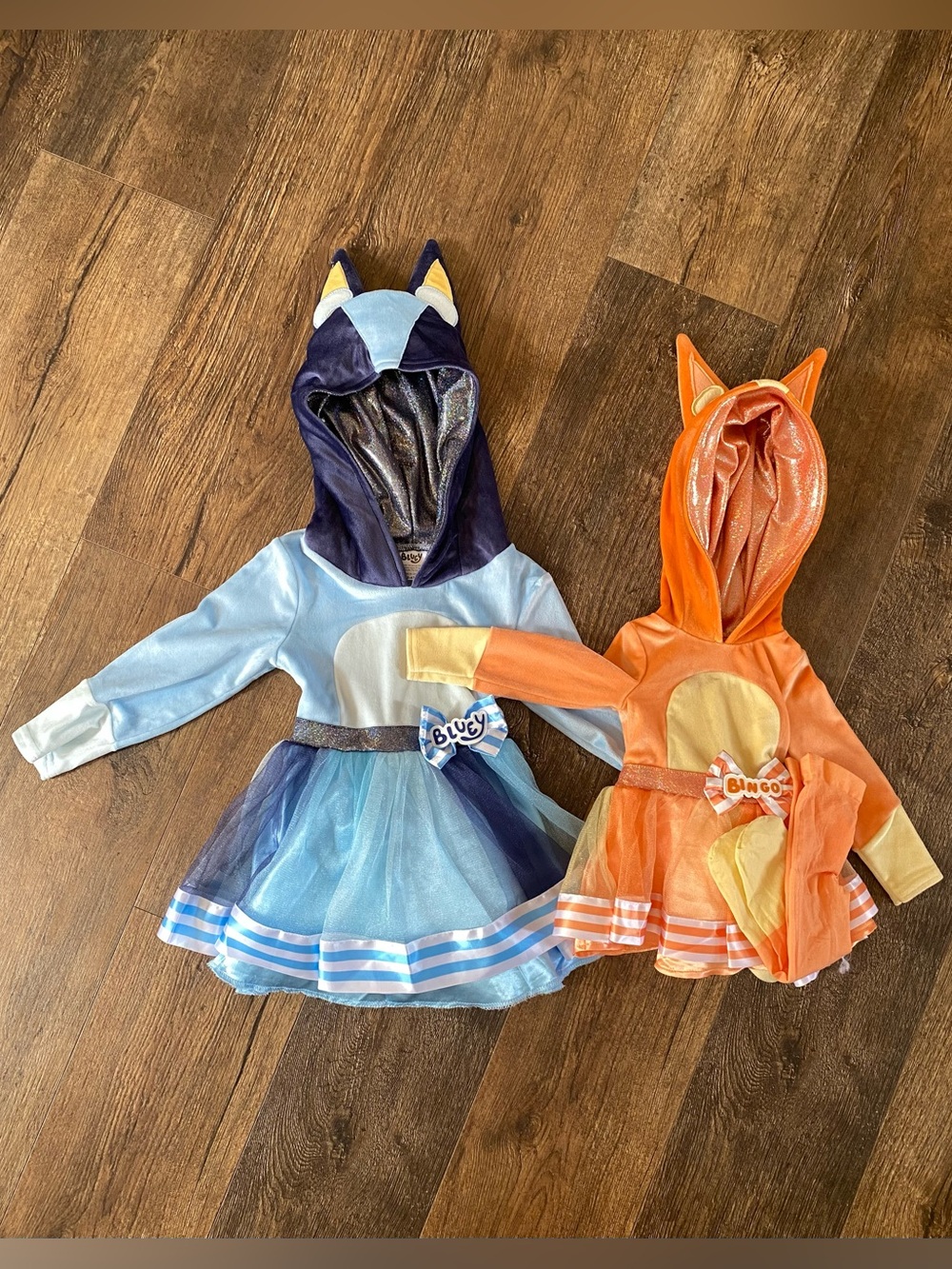 Bluey and Bingo Costumes
